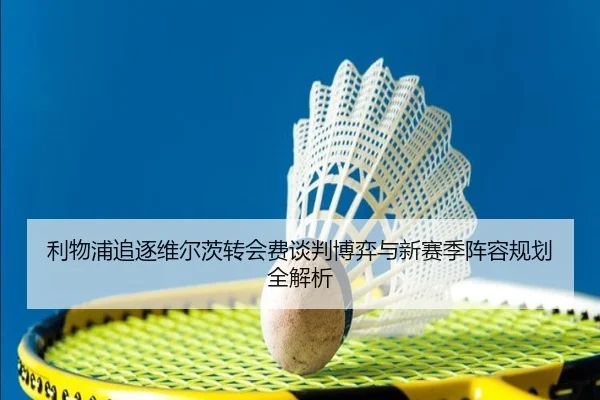 利物浦追逐维尔茨转会费谈判博弈与新赛季阵容规划全解析